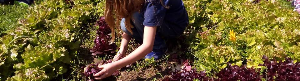 Corso “Orti scolastici e giardini educativi”