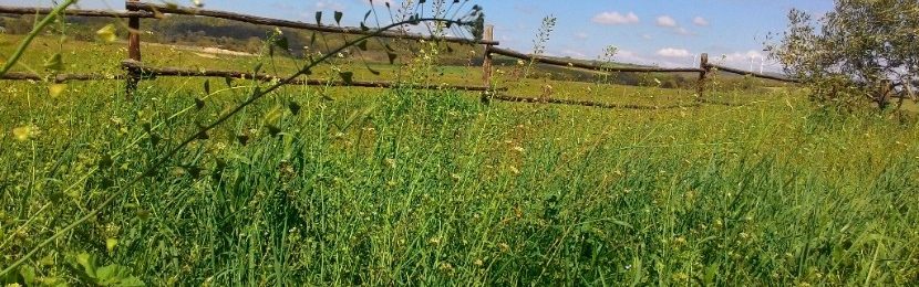 Consumo di suolo: l’Earth day 2017 in Italia dedicato al suolo